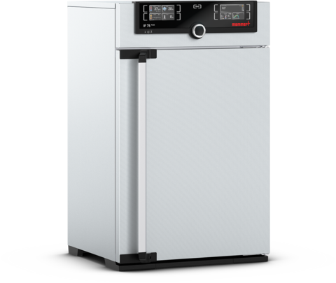 Memmert Brutschrank IF75mplus, 74l, 20-80°C
